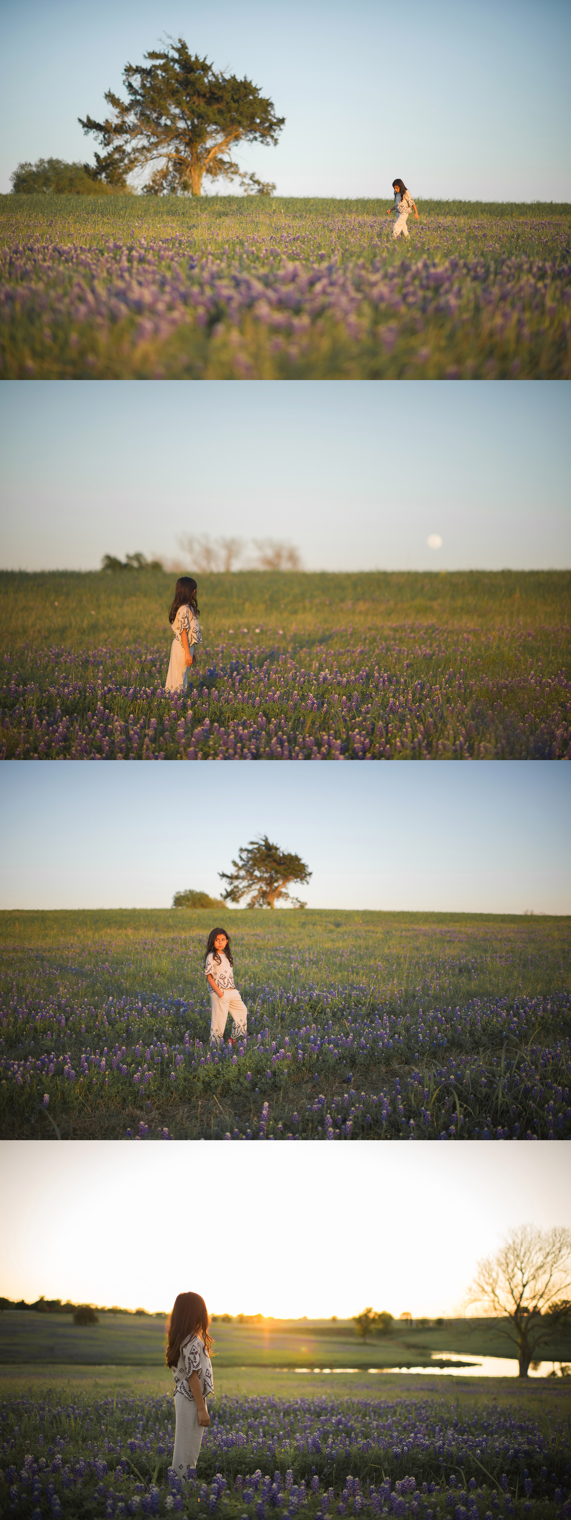 Texas Bluebonnets in Chappell Hill Texas